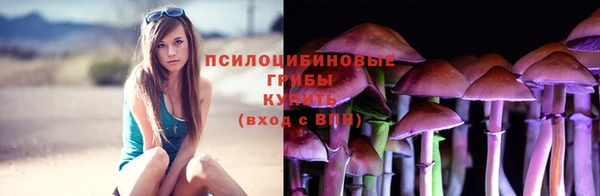 бошки Медногорск