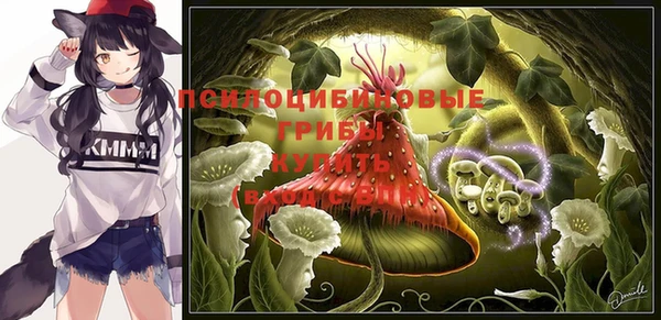 бошки Медногорск