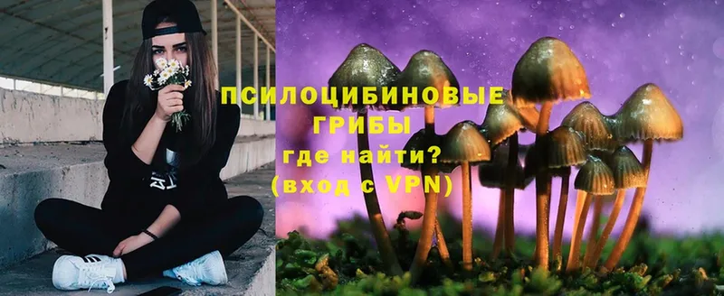 Галлюциногенные грибы Magic Shrooms  наркотики  Камызяк 